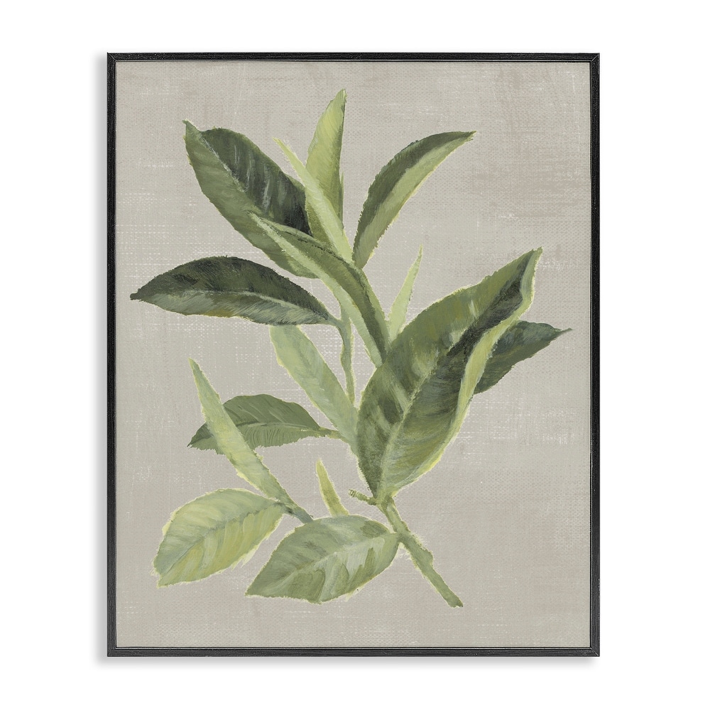 Stupell Green Tea Plant Leaf Framed Giclee Art Design By Lanie Loreth