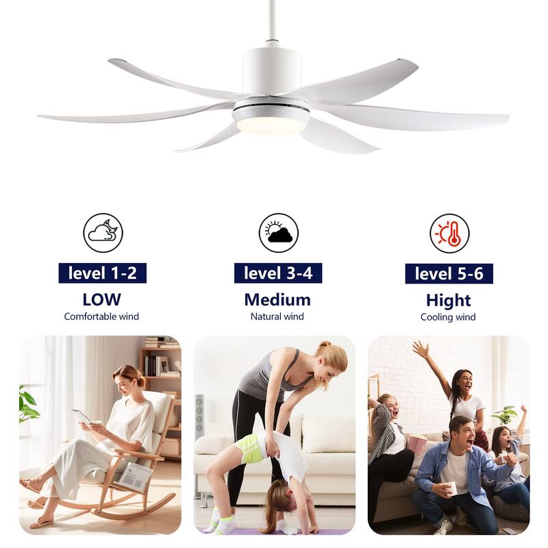 Ceiling Fan with Light Kit