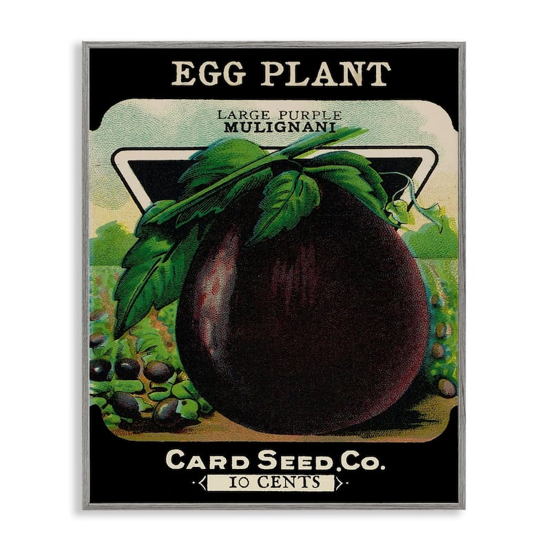 Stupell Vintage Garden Eggplant Framed Giclee Art Design By Lil' Rue - 11 x 14 - Grey