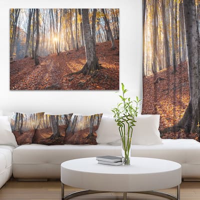 Designart "Crimean Mountains Autumn Trees" Landscape Photo Canvas Print