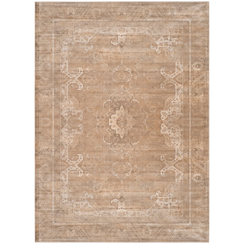 SAFAVIEH Vintage Distressed Boho Argjentina Oriental Rug