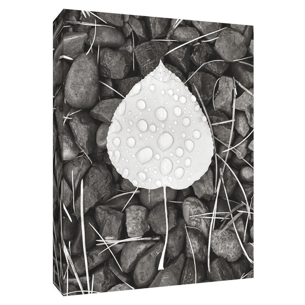 PTM Images 9-154695 PTM Canvas Collection 10" x 8" - "Aspen Leaf II" Giclee Stones & Pebbles Art Print on Canvas