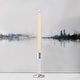 preview thumbnail 24 of 25, Root 12 inch Unscented Smooth Arista Taper Candles box of 12