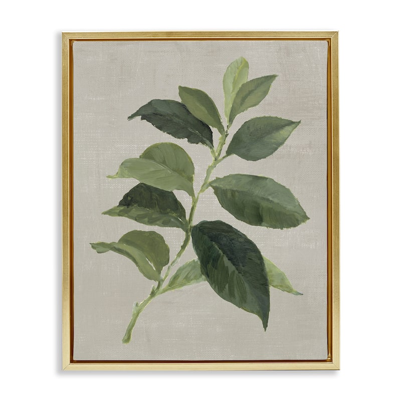 Stupell Arabica Coffee Plant Leaf Framed Floater Canvas Wall Art Design By Lanie Loreth - 17 x 21 - Gold