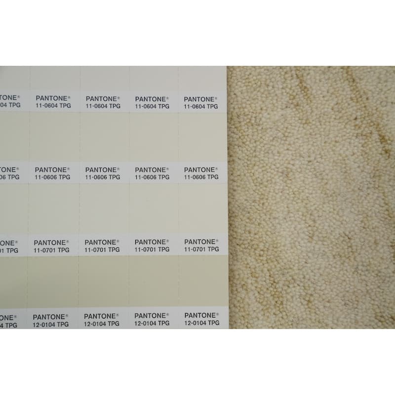 Hand Knotted Oriental 100% Wool Carpet Tribal Animal Pictorial Beige & Ivories Gabbeh Area Rug - 8' 0'' X 8' 2''