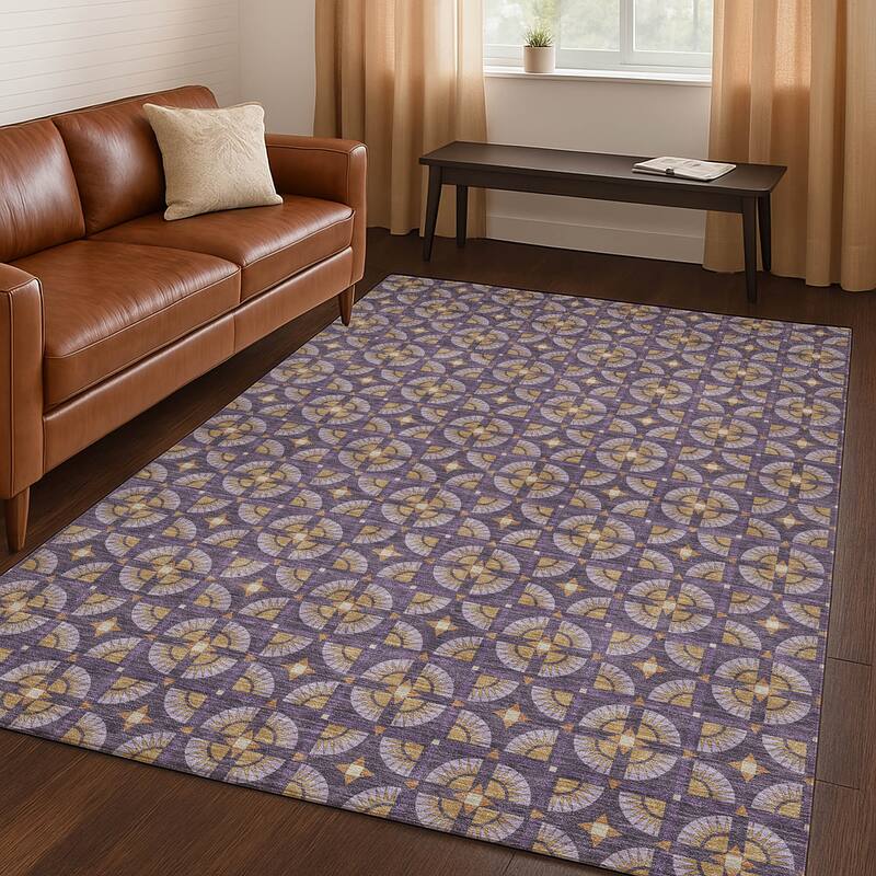 Machine Washable Indoor/ Outdoor Modern Roeland Chantille Rug