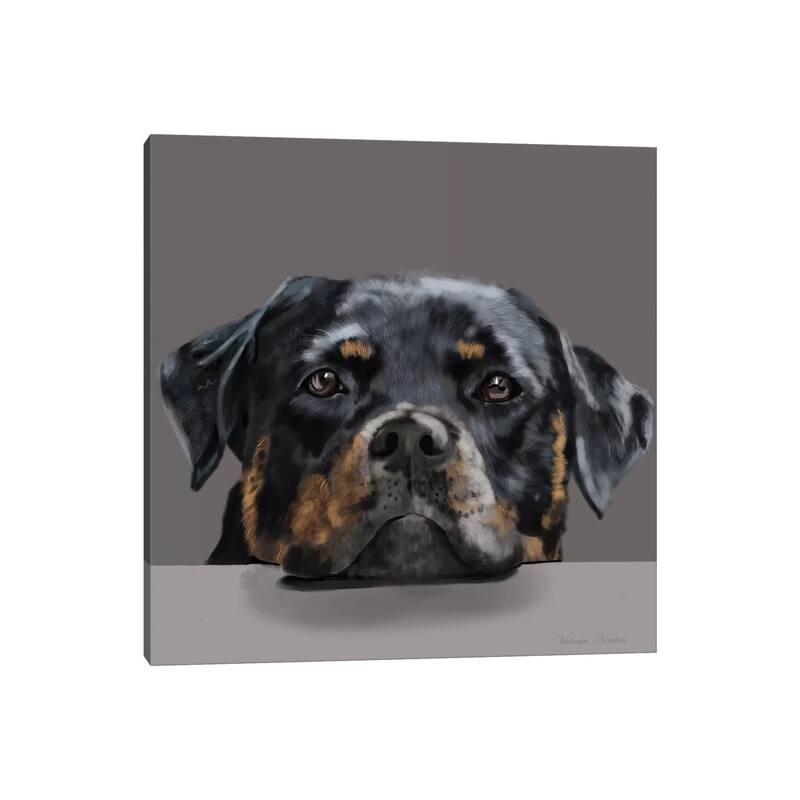 iCanvas "Rotweiller" by Vicki Newton Canvas Print