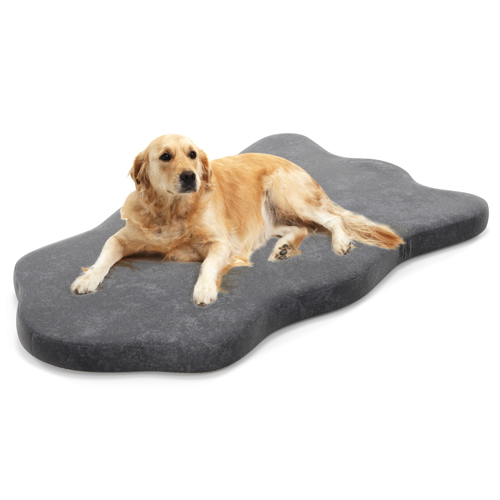 Orthopedic bed for dogs 2025