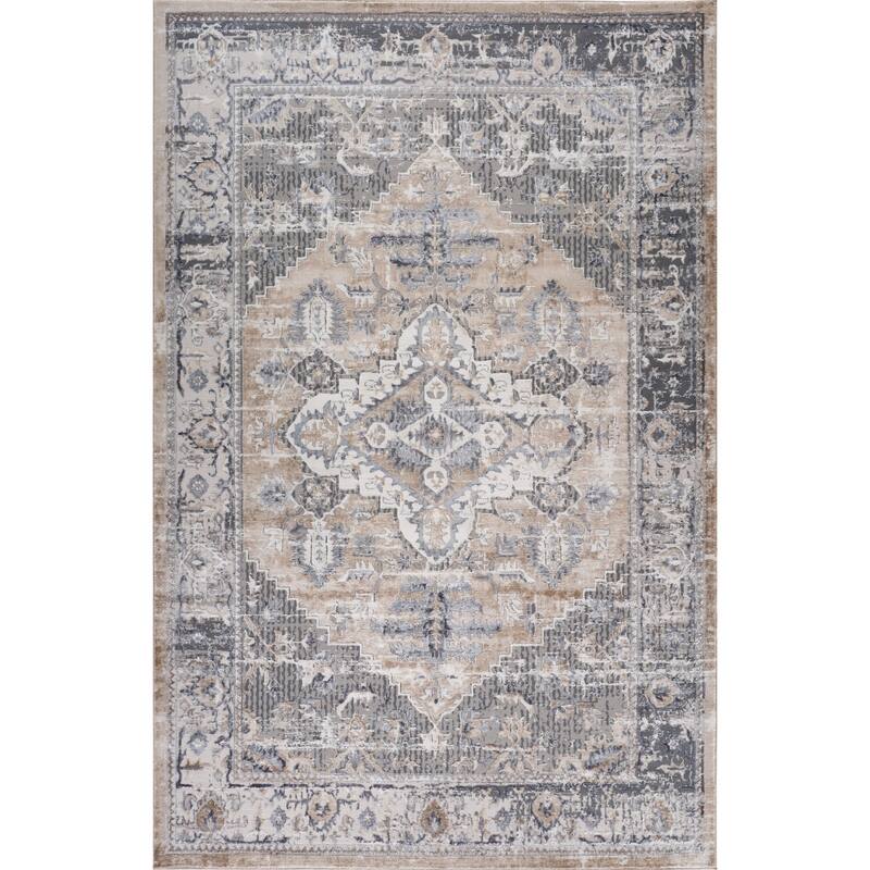 Bigex Distressed Stain Resistant Woven Durable Area Rug By HomeRoots