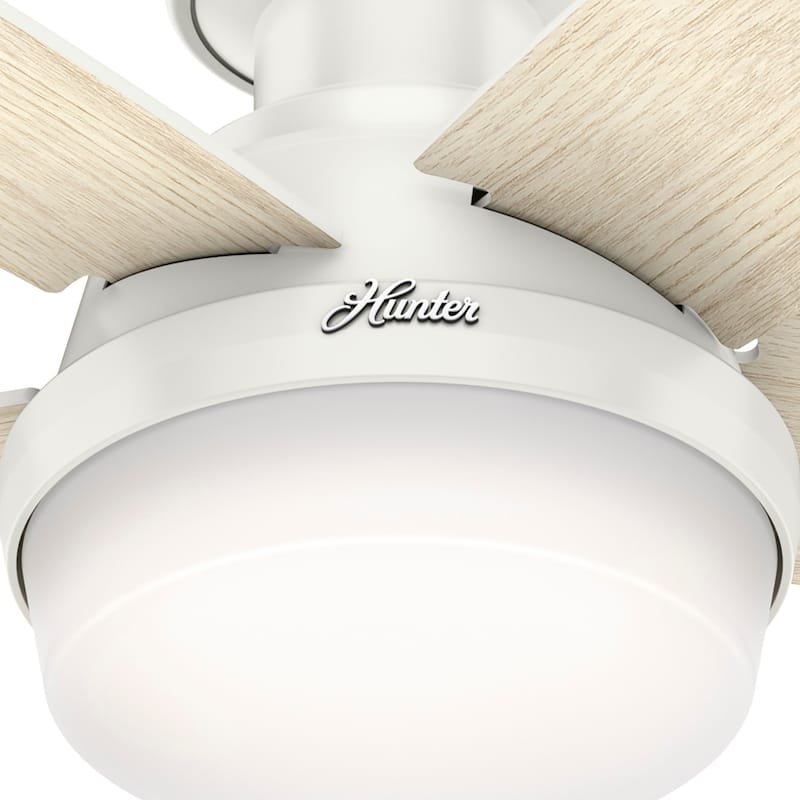 Hunter 48" Avia Low Profile Ceiling Fan w/ LED Light, Handheld Remote
