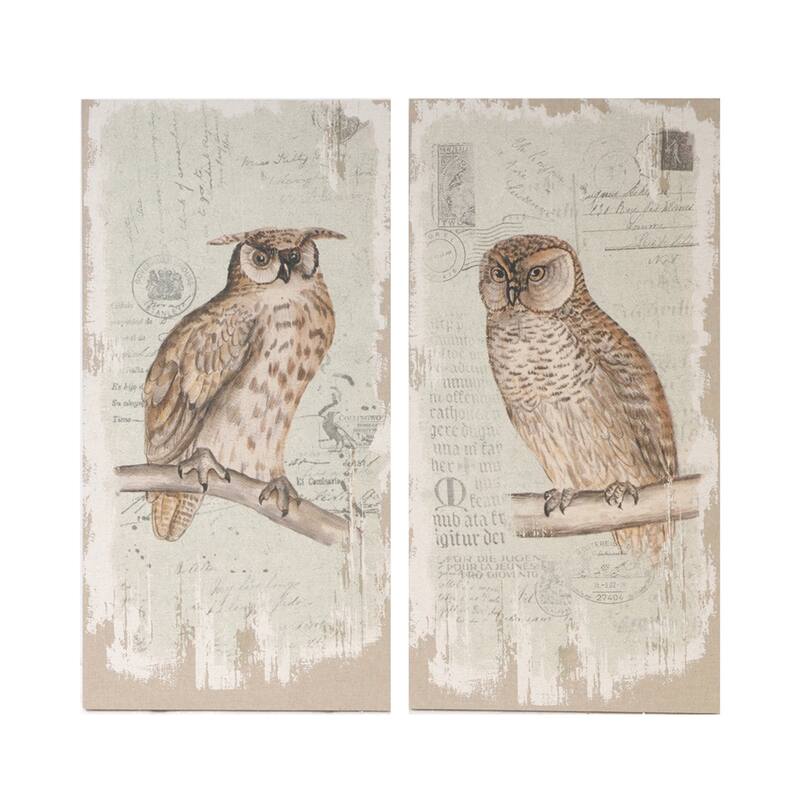 39.5x20" Lilith Owl Prints with Distressed Look (Set of 2) - Multi