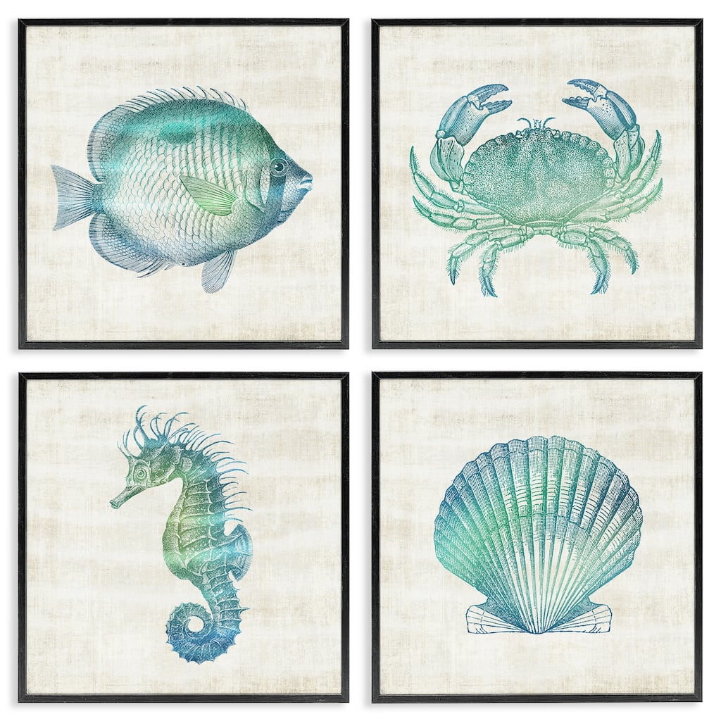 Stupell Aquatic Sea Life Impressions Framed Giclee Art Design By Susan Arnot (Set of 4)