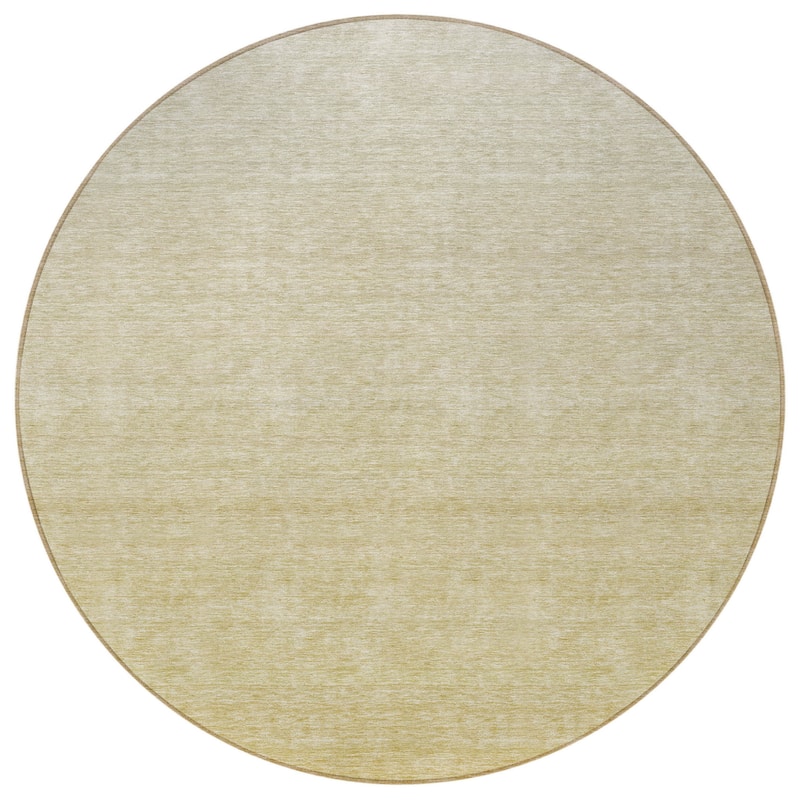 HomeRoots Ombre Transitional Rectangle Outdoor Rug