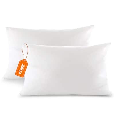 Cheer Collection Feather Down Decorative Square Pillow