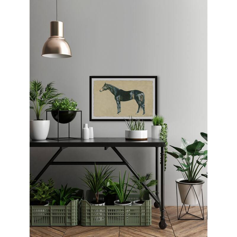 Born to Ride Framed Print