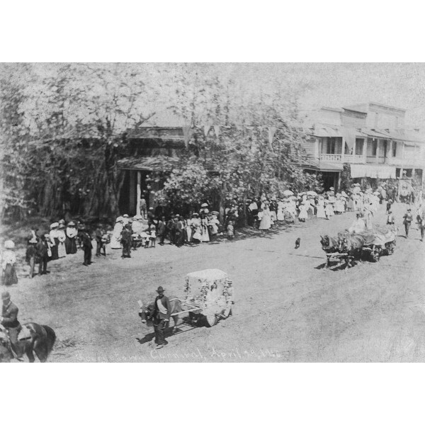 Shop Georgetown California View Of Carnival Parade Art Print