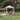 13 ft. Steel Framed Pop-Up Canopy Tent Gazebo with Mosquito Net