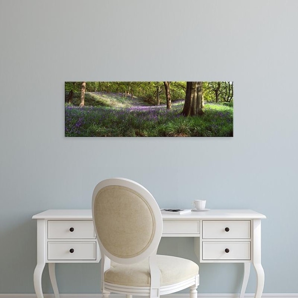 Easy Art Prints Panoramic Images's 'Bluebells In A Forest, Newton Wood, Texas, USA' Premium Canvas Art
