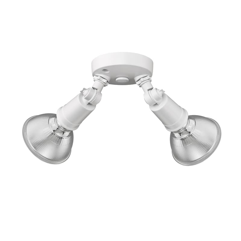 Millennium Lighting 2 Light Flood Light Fixture