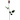 23" Single Rose Bud Spray x 1 Red Box of 24