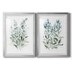 preview thumbnail 28 of 49, Delicate Blue Botanical I Premium Framed Print - Ready to Hang 18.5X24.5 - Silver