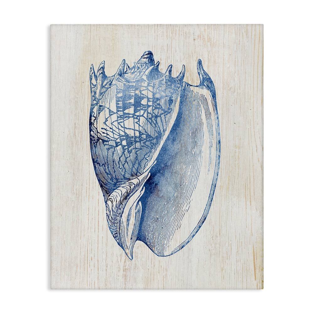 Stupell Nautical Soft Blue Conch Canvas Wall Art Design By Susan Arnot