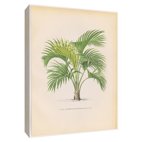 Ptm Images 9 154196 Ptm Canvas Collection 10 X 8 Palmier Iv Giclee Palm Trees Textual Art Print On Canvas N A