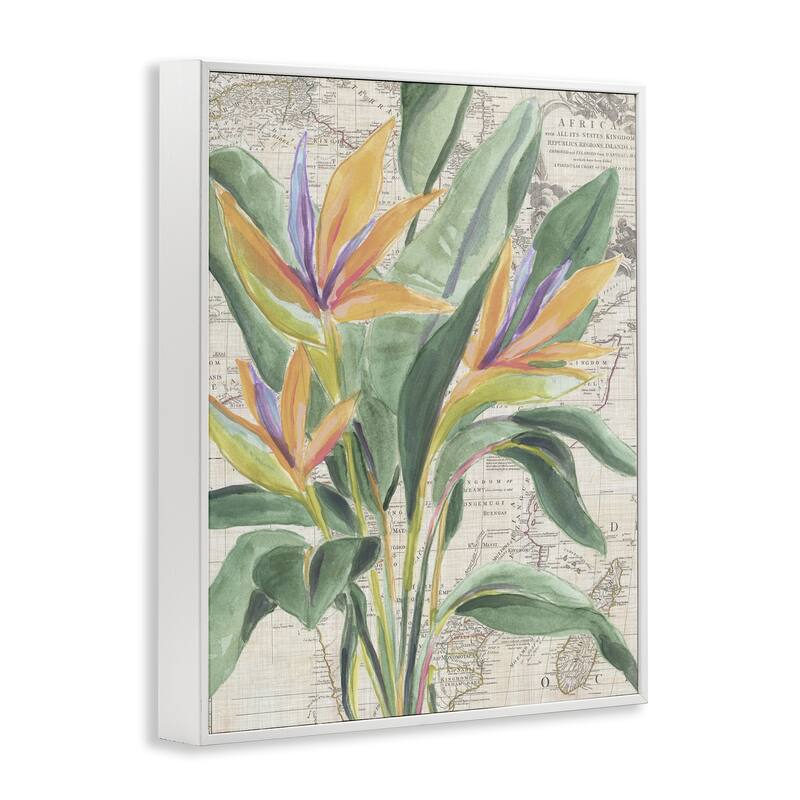 Stupell Bird of Paradise over Map Framed Giclee Art Design By June Erica Vess