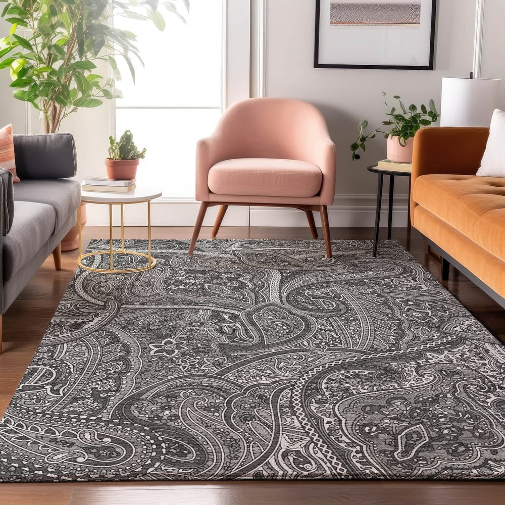 Premium Washable Super Soft Traditional Paisley Mayfield Rug