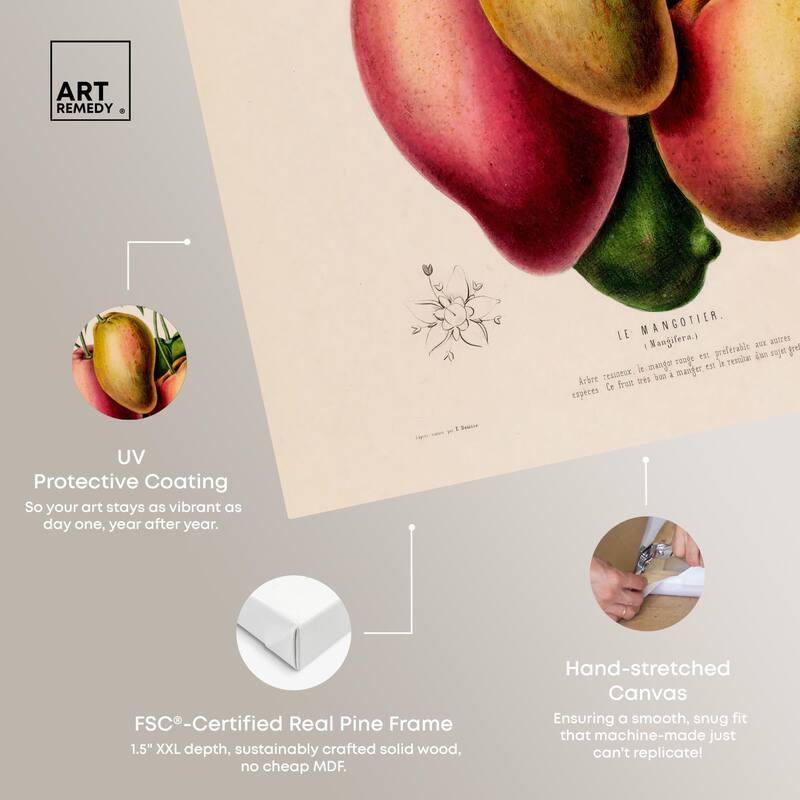 Mangoes by Etienne Denisse Canvas by Art Remedy, Gallery Wrapped