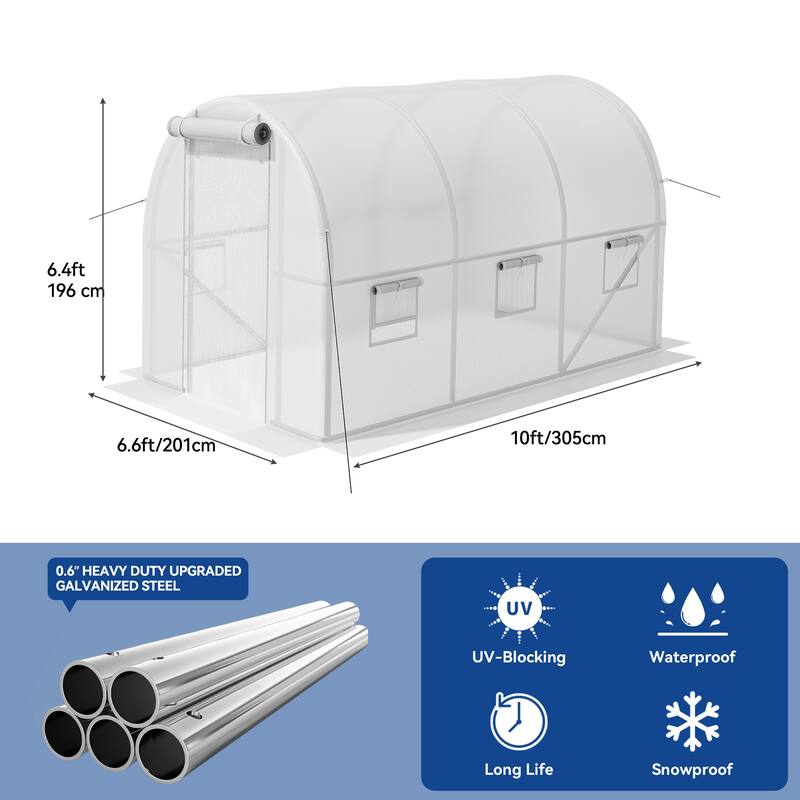 Moasis Greenhouse with Steel Frame, PE Cover