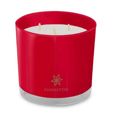 ROOT Candles 3-Wick 12 oz Poinsettia Scented Jar Candle