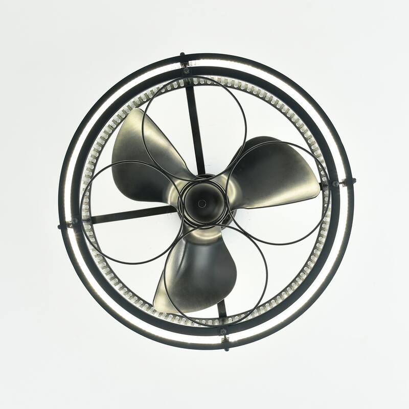 Daciana 28 Inch Matte Black Finished Glam LED Ceiling Fandelier with Remote - N/A