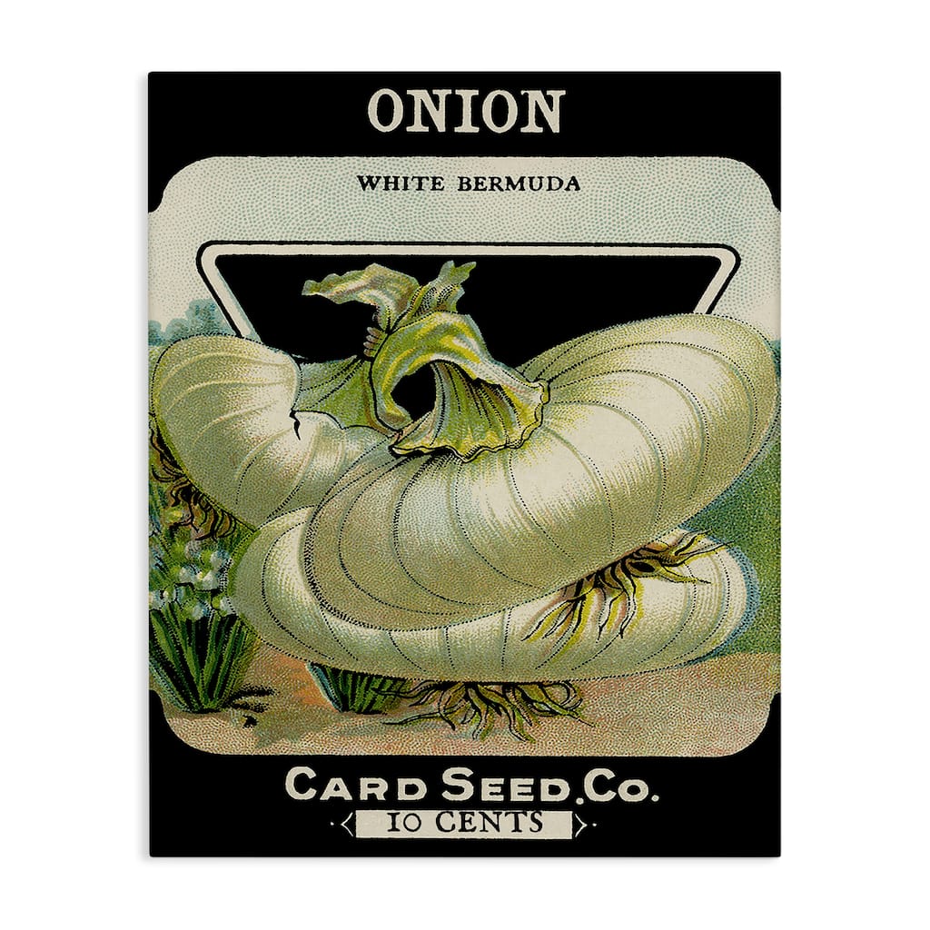 Stupell Vintage Garden Onion Canvas Wall Art Design By Lil' Rue