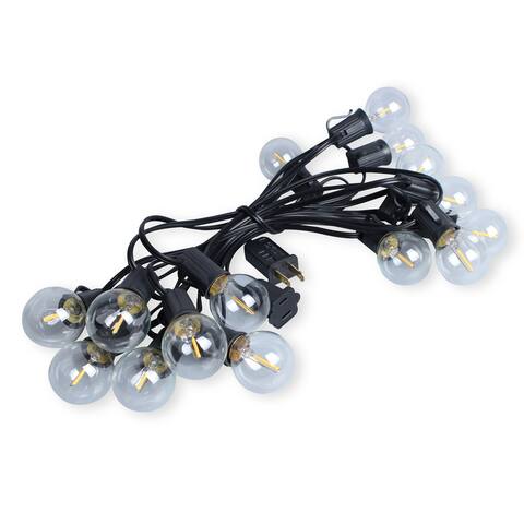 LEDPAX 100-Light 100 ft. Indoor and Outdoor LED String Light, Black (2 Pack) - 100 Foot