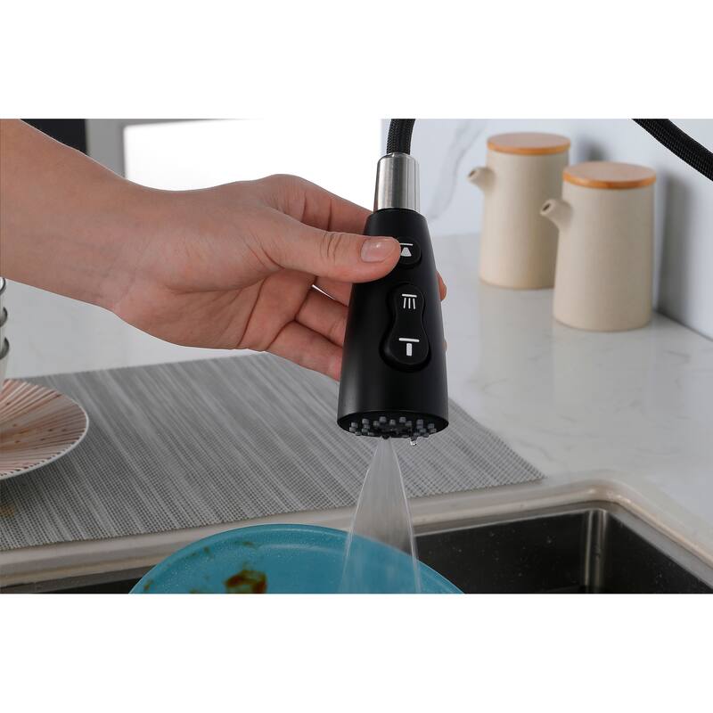 Single Handle Kitchen Sink Faucet with Pull Down Sprayer