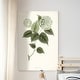 preview thumbnail 8 of 8, Sage Botanical I -Premium Gallery Wrapped Canvas