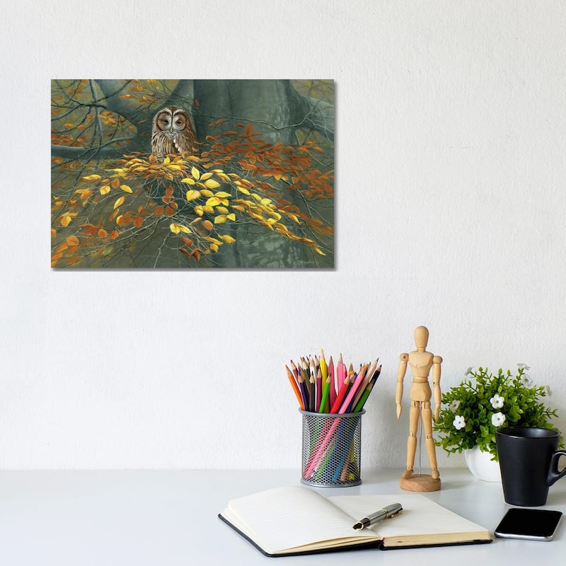 iCanvas "Tawny Owl Autumn" by Jeremy Paul Canvas Print - 8x12x0.75