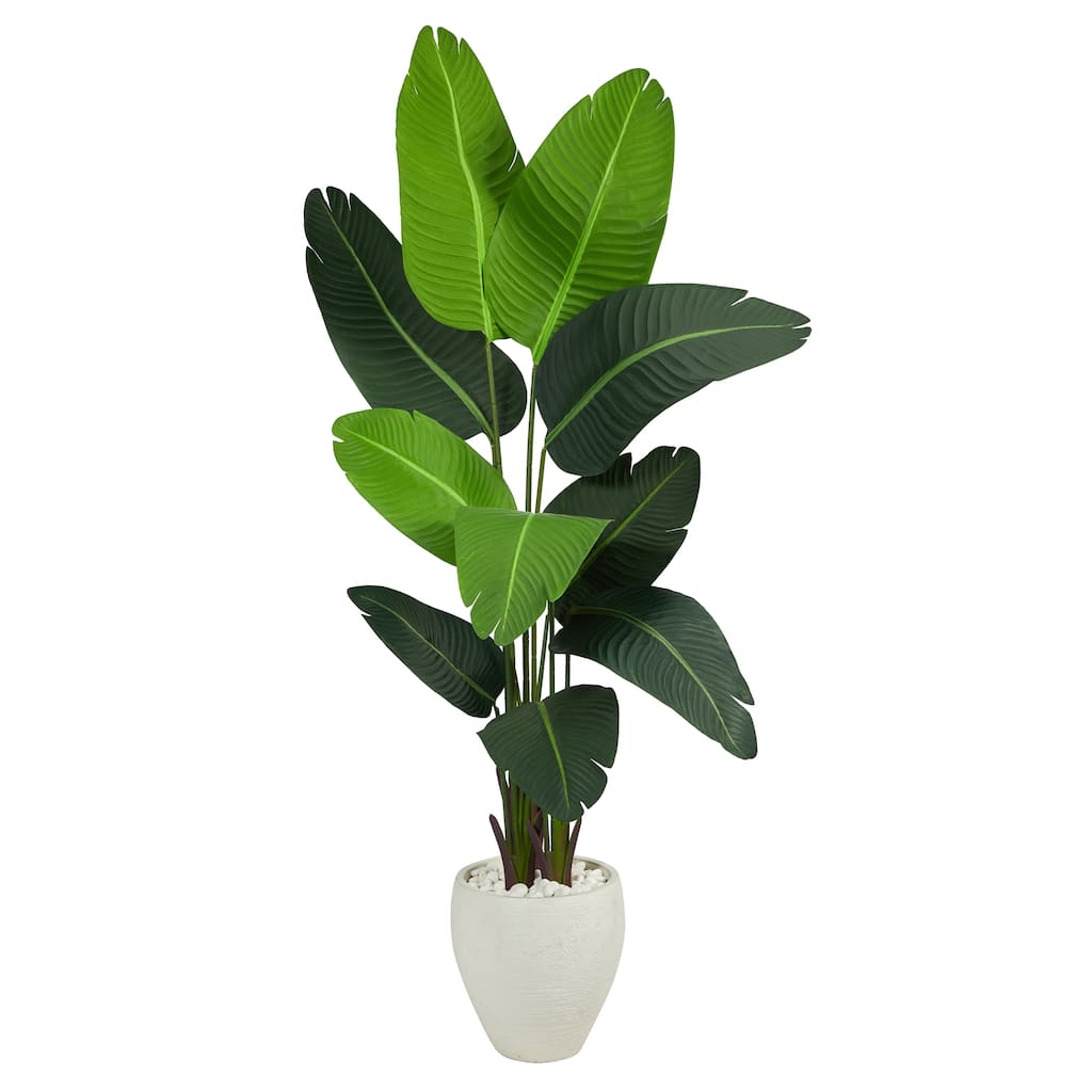 5.5' Travelers Palm Artificial Tree in White Planter - 13"