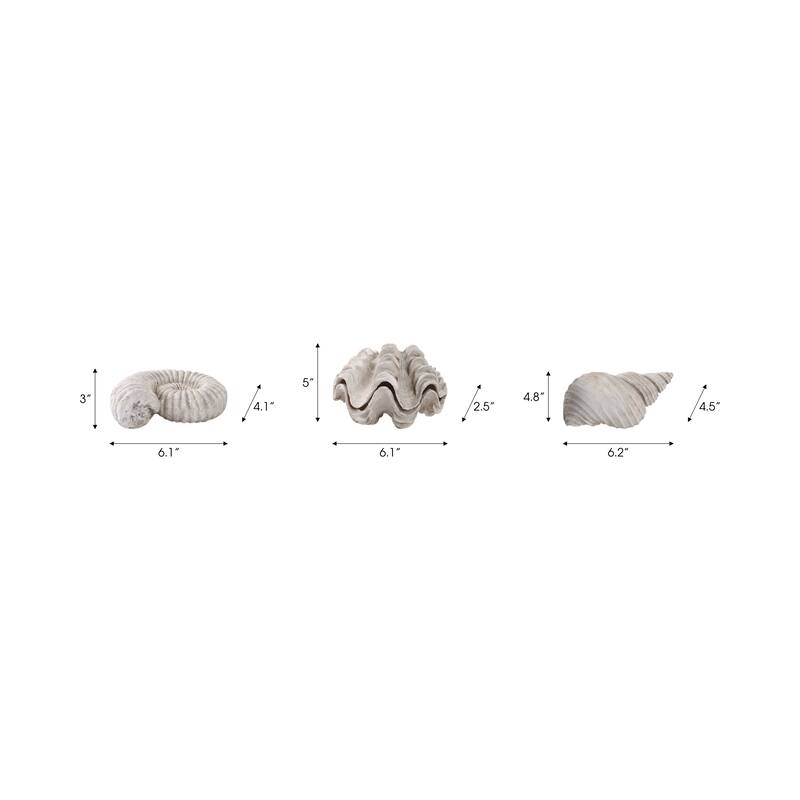 Polyresin Sculpture Coastal Shell Design (Set of 3) - 5/3" Ivory - 6.25" x 4.5" x 4.75"