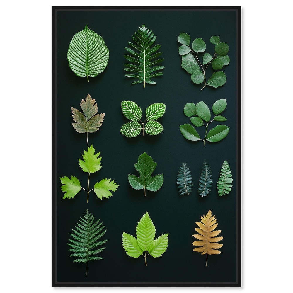 Leaf Library I Canvas by Art Remedy