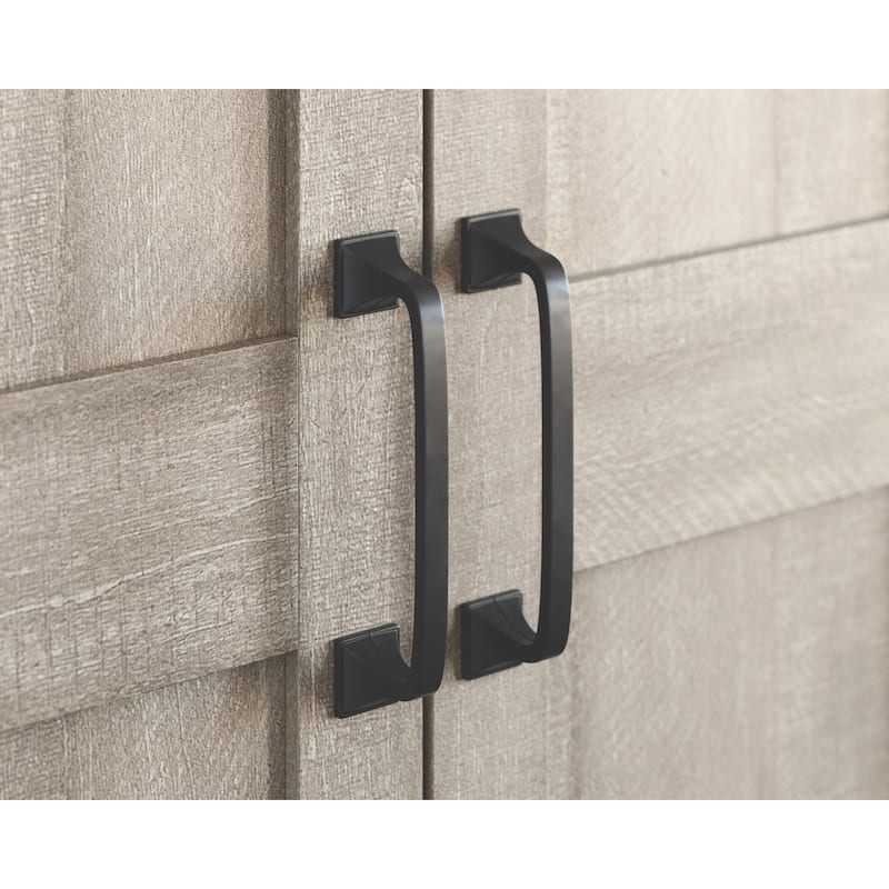 2-Door Storage Cabinet