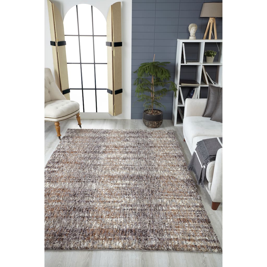 Domani Plush Mid-Century Abstract & Heathered Shag Area Rug