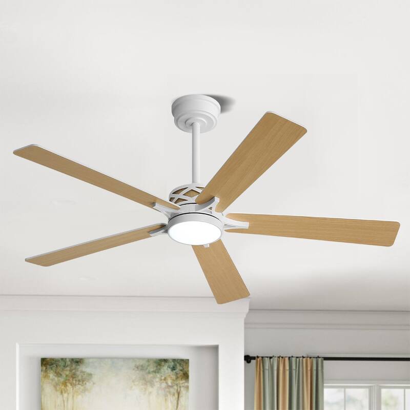 MLiAN 5-Blades DC Motor Indoor Smart Ceiling Fan with Light and Remote