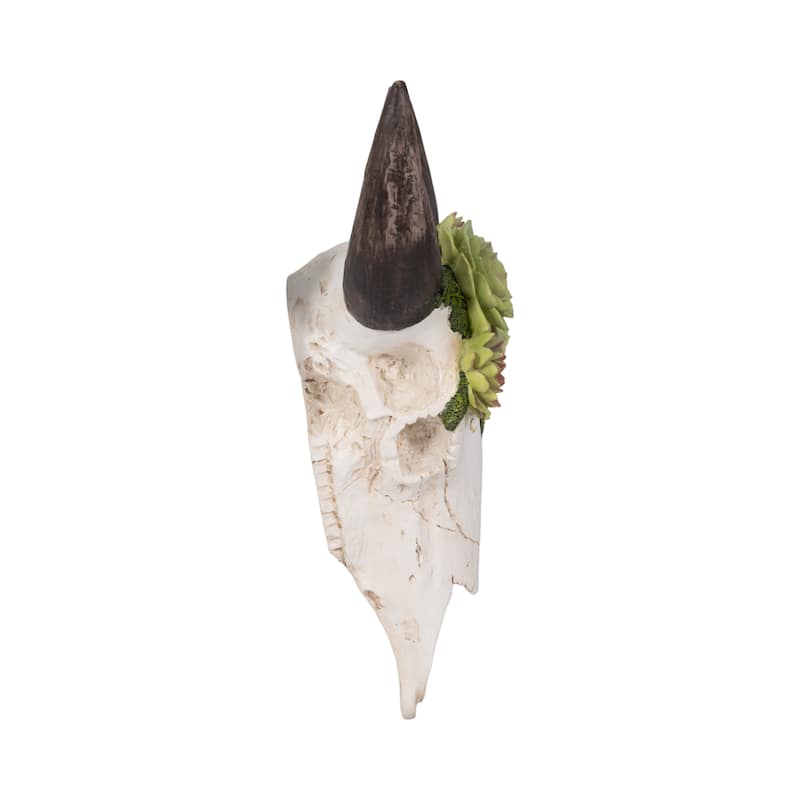 Sagebrook Home Bull Skull With Succulents, Multi, Novelty