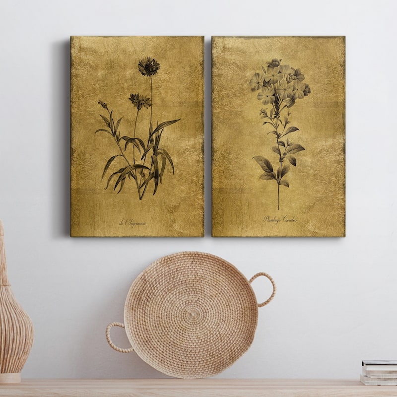 Gold Sketch Botanical I Premium Gallery Wrapped Canvas - Ready to Hang