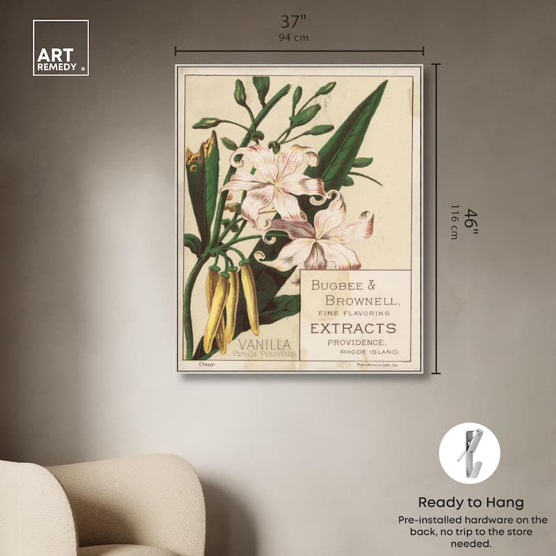 Vanilla Planifolia Canvas by Art Remedy
