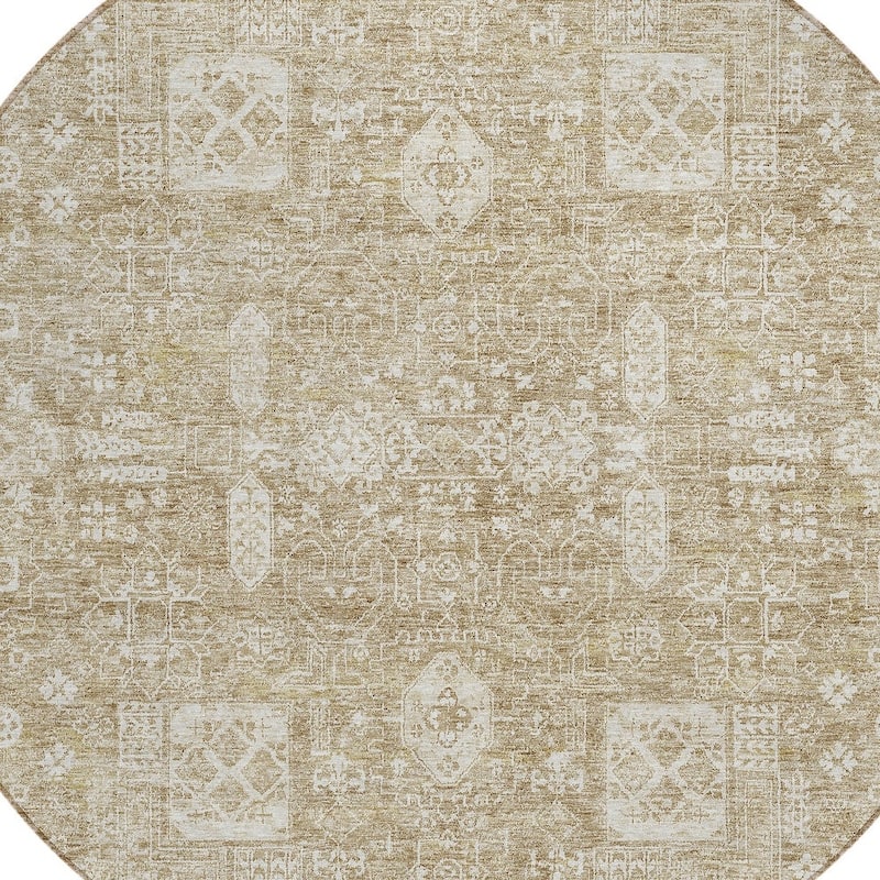 HomeRoots Oriental Transitional Rectangle Outdoor Rug