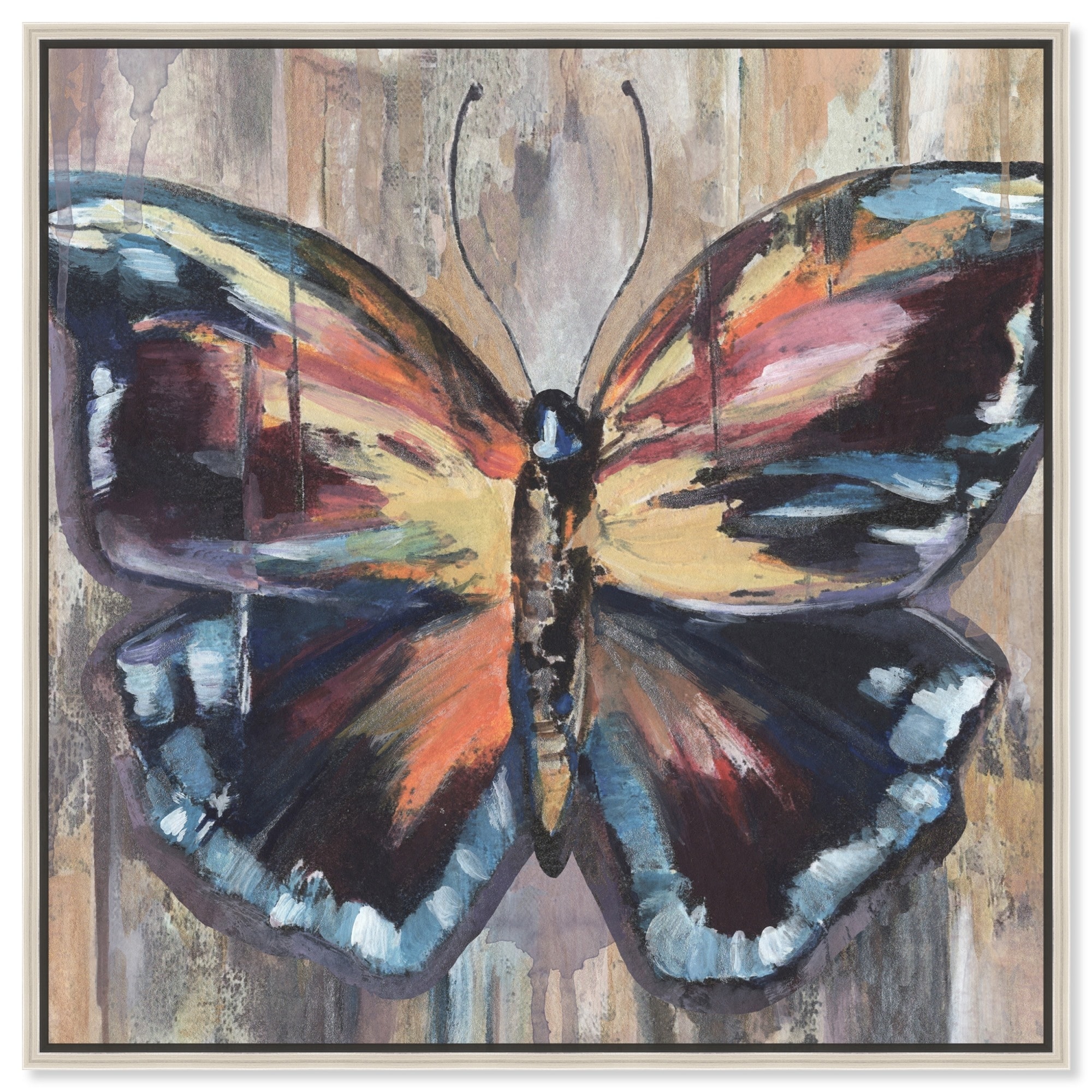 Butterfly S Beauty Canvas Butterfly Art Prints by Art Remedy