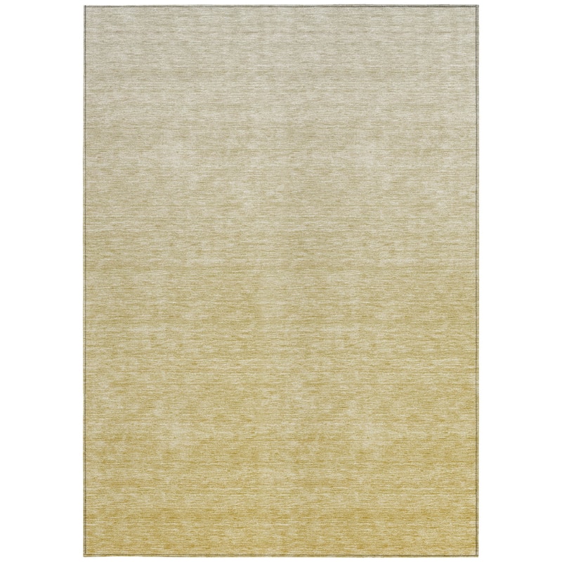 HomeRoots Ombre Transitional Rectangle Outdoor Rug